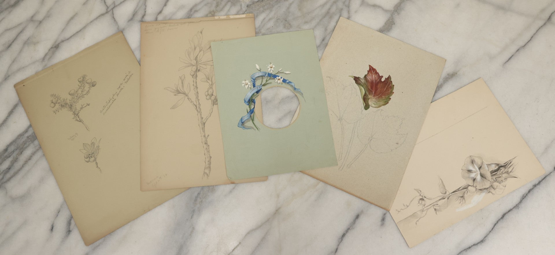 Lot 039 - Grouping Of Five Antique Botanical Watercolor Paintings And Sketches On Paper Of Flowers And More, Circa 1880, Approximately 7" x 10", Some With Identification (Grouping D)