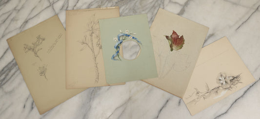 Lot 039 - Grouping Of Five Antique Botanical Watercolor Paintings And Sketches On Paper Of Flowers And More, Circa 1880, Approximately 7" x 10", Some With Identification (Grouping D)