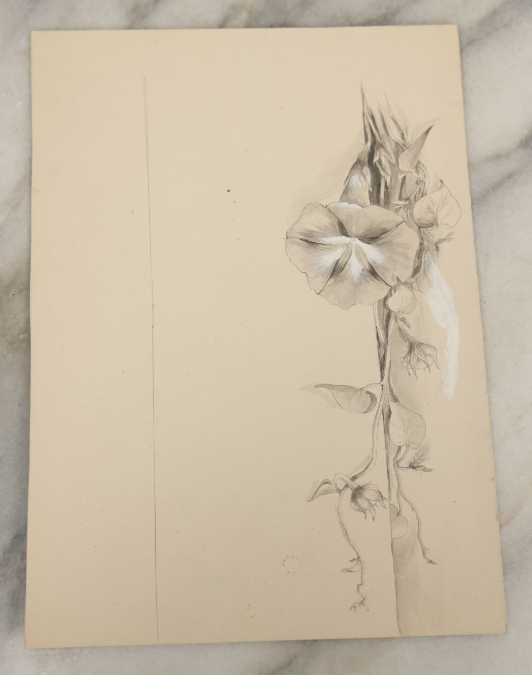 Lot 039 - Grouping Of Five Antique Botanical Watercolor Paintings And Sketches On Paper Of Flowers And More, Circa 1880, Approximately 7" x 10", Some With Identification (Grouping D)