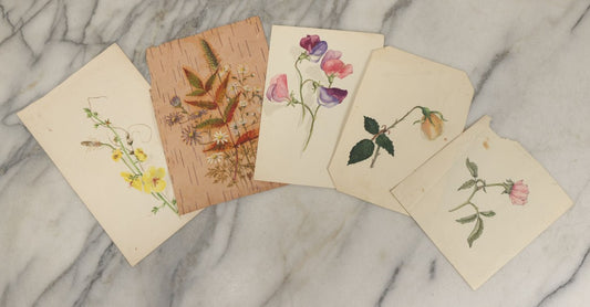 Lot 040 - Grouping Of Five Antique Botanical Watercolor Paintings And Sketches On Paper Of Flowers And More, Circa 1880, Approximately 5" x 7", Some With Identification (Grouping E)