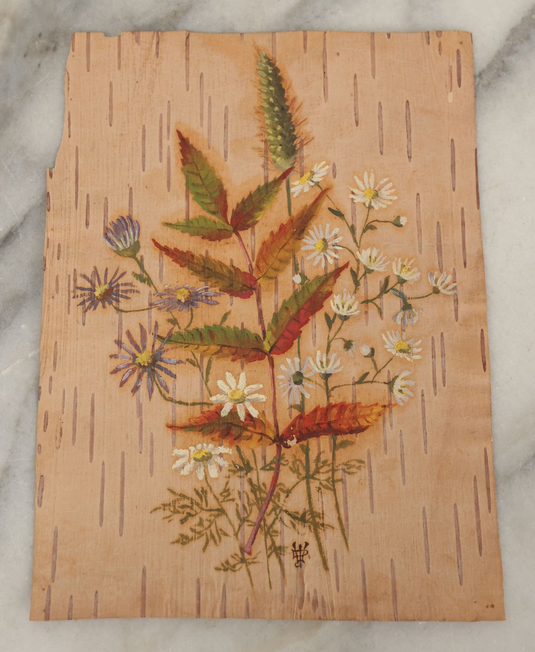 Lot 040 - Grouping Of Five Antique Botanical Watercolor Paintings And Sketches On Paper Of Flowers And More, Circa 1880, Approximately 5" x 7", Some With Identification (Grouping E)