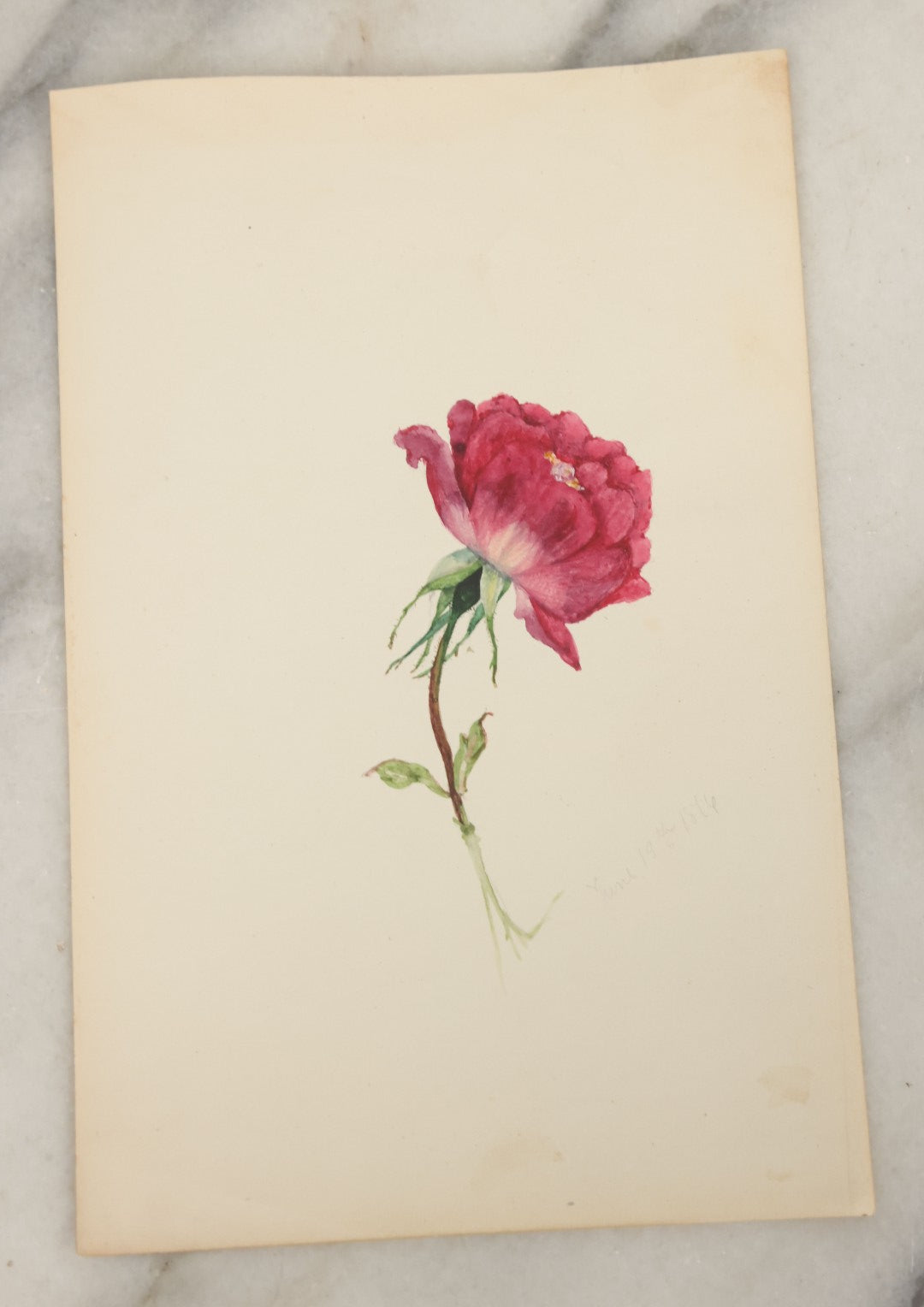 Lot 041 - Grouping Of Six Antique Botanical Watercolor Paintings And Sketches On Paper Of Flowers And More, Circa 1880, Approximately 5" x 7", Some With Identification (Grouping F)