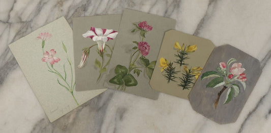 Lot 042 - Grouping Of Five Antique Botanical Watercolor Paintings And Sketches On Paper Of Flowers And More, Circa 1880, Approximately 4" x 6", Some With Identification (Grouping G)