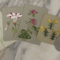 Lot 042 - Grouping Of Five Antique Botanical Watercolor Paintings And Sketches On Paper Of Flowers And More, Circa 1880, Approximately 4" x 6", Some With Identification (Grouping G)