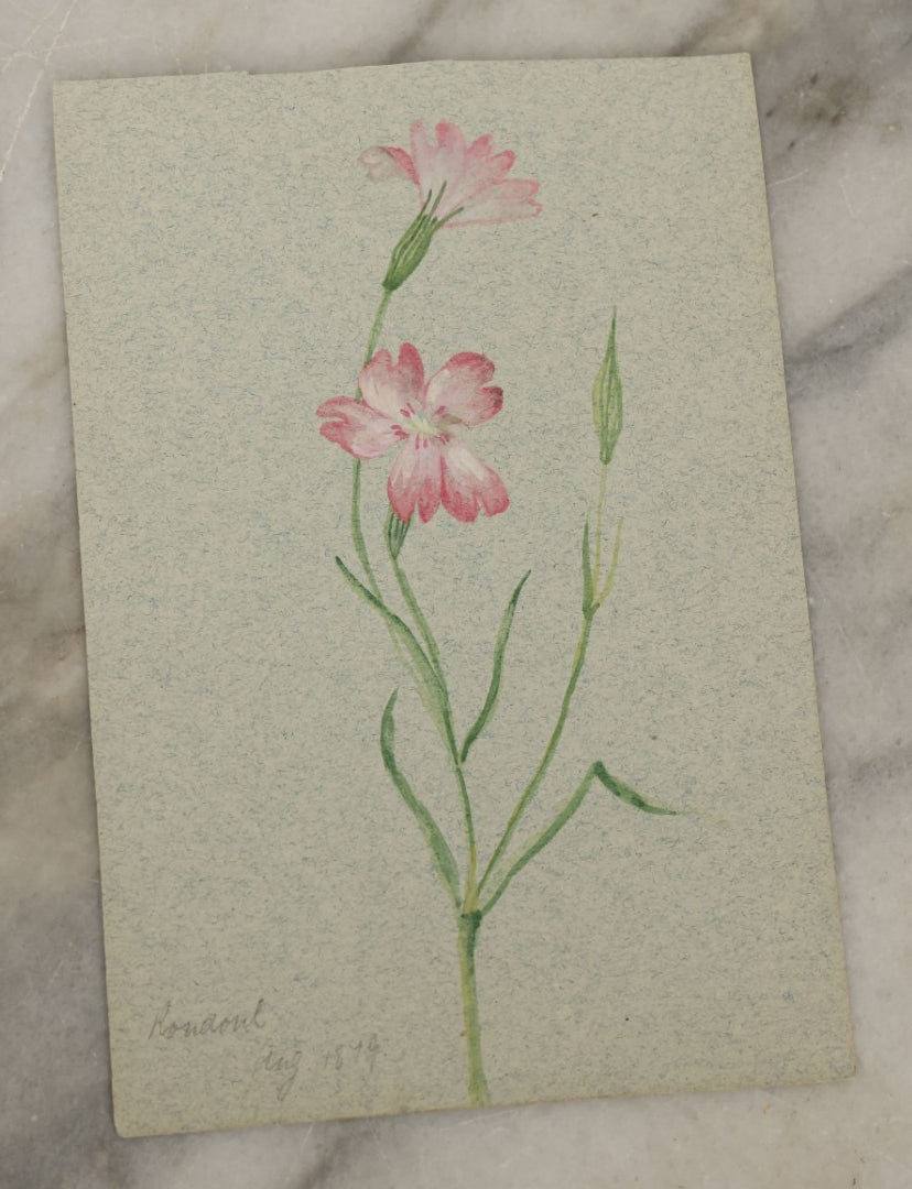 Lot 042 - Grouping Of Five Antique Botanical Watercolor Paintings And Sketches On Paper Of Flowers And More, Circa 1880, Approximately 4" x 6", Some With Identification (Grouping G)