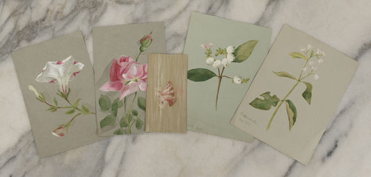 Lot 043 - Grouping Of Five Antique Botanical Watercolor Paintings And Sketches On Paper Of Flowers And More, Circa 1880, Approximately 4" x 6", Some With Identification (Grouping H)