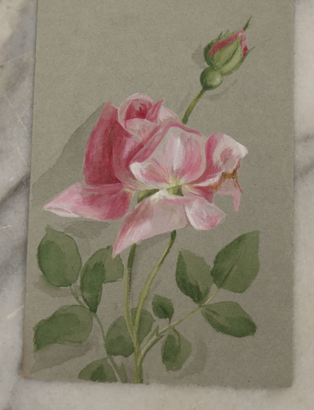 Lot 043 - Grouping Of Five Antique Botanical Watercolor Paintings And Sketches On Paper Of Flowers And More, Circa 1880, Approximately 4" x 6", Some With Identification (Grouping H)