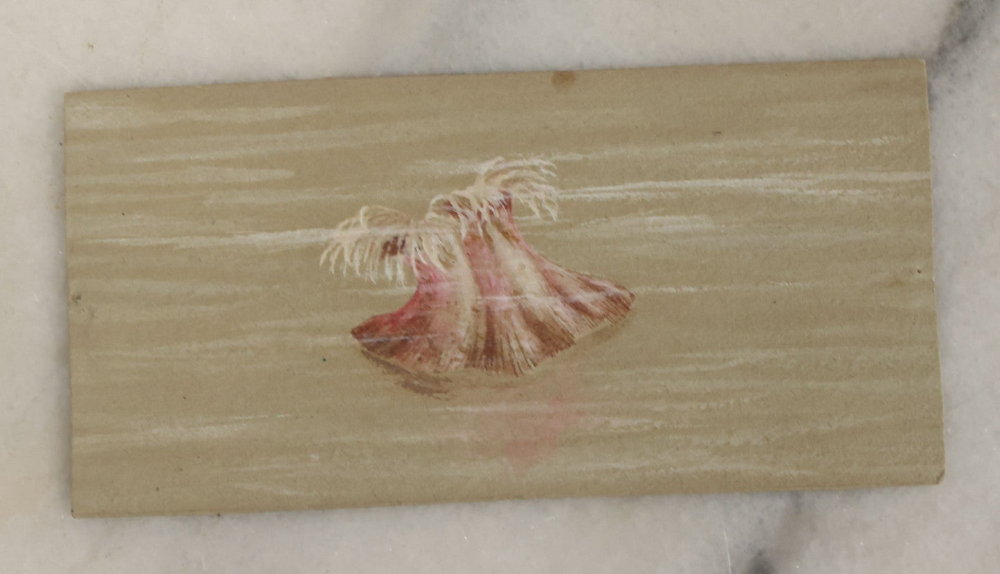 Lot 043 - Grouping Of Five Antique Botanical Watercolor Paintings And Sketches On Paper Of Flowers And More, Circa 1880, Approximately 4" x 6", Some With Identification (Grouping H)