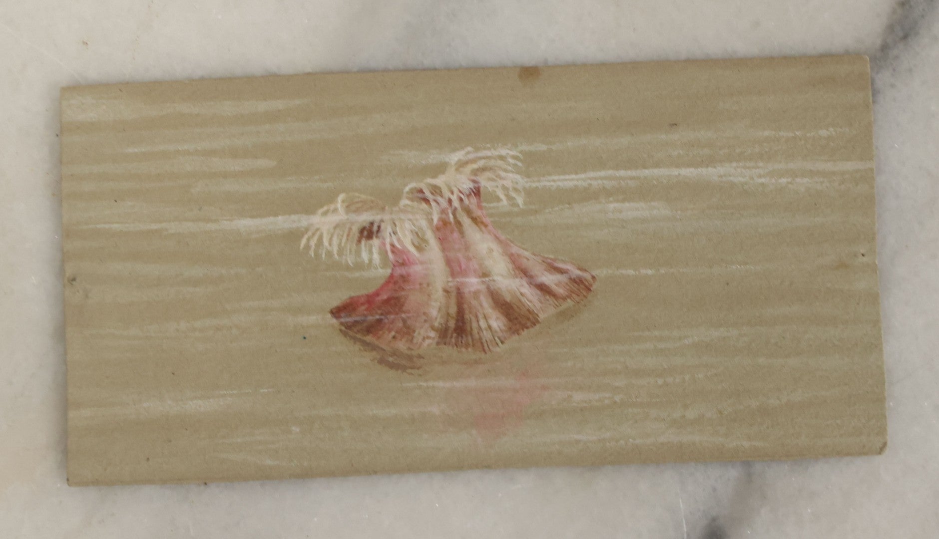 Lot 043 - Grouping Of Five Antique Botanical Watercolor Paintings And Sketches On Paper Of Flowers And More, Circa 1880, Approximately 4" x 6", Some With Identification (Grouping H)