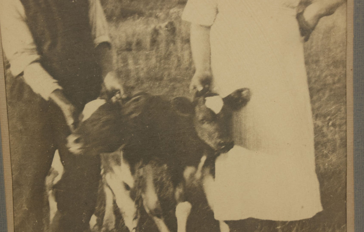 Lot 046 - Antique Framed Photograph Of A Couple With Two Baby Cow Calfs, 10-3/4" x 16-3/4"