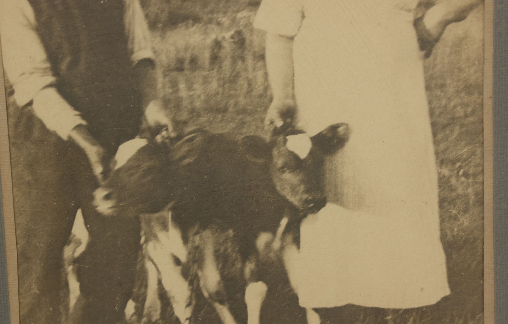 Lot 046 - Antique Framed Photograph Of A Couple With Two Baby Cow Calfs, 10-3/4" x 16-3/4"