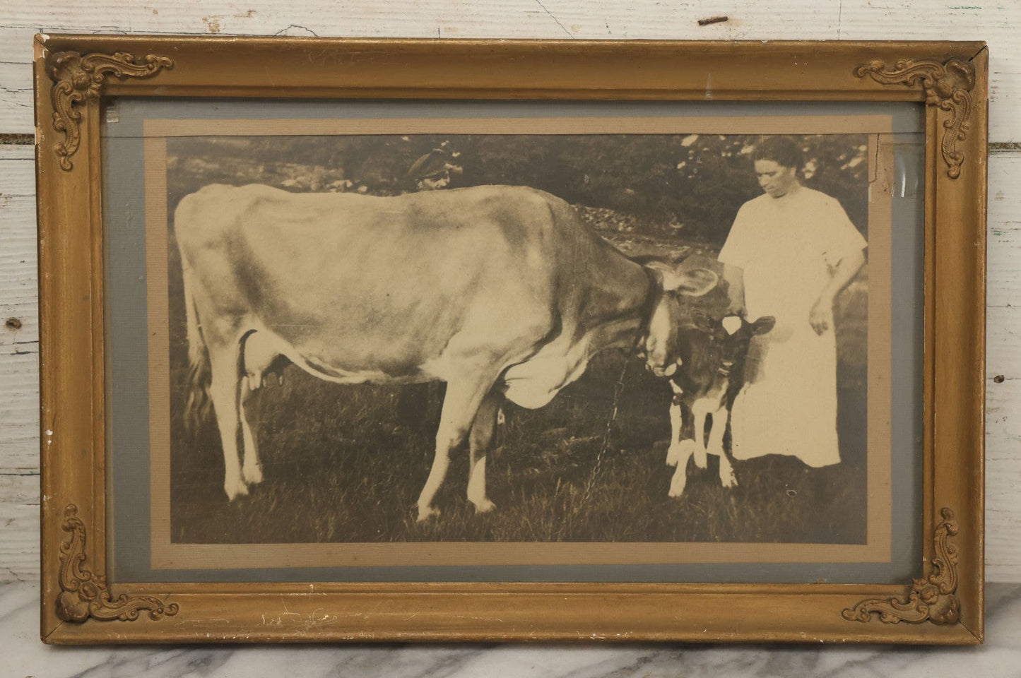 Lot 047 - Antique Framed Photograph Of A Woman With A Baby Cow Calf And Mother Cow, 16-3/4" x 10-3/4"