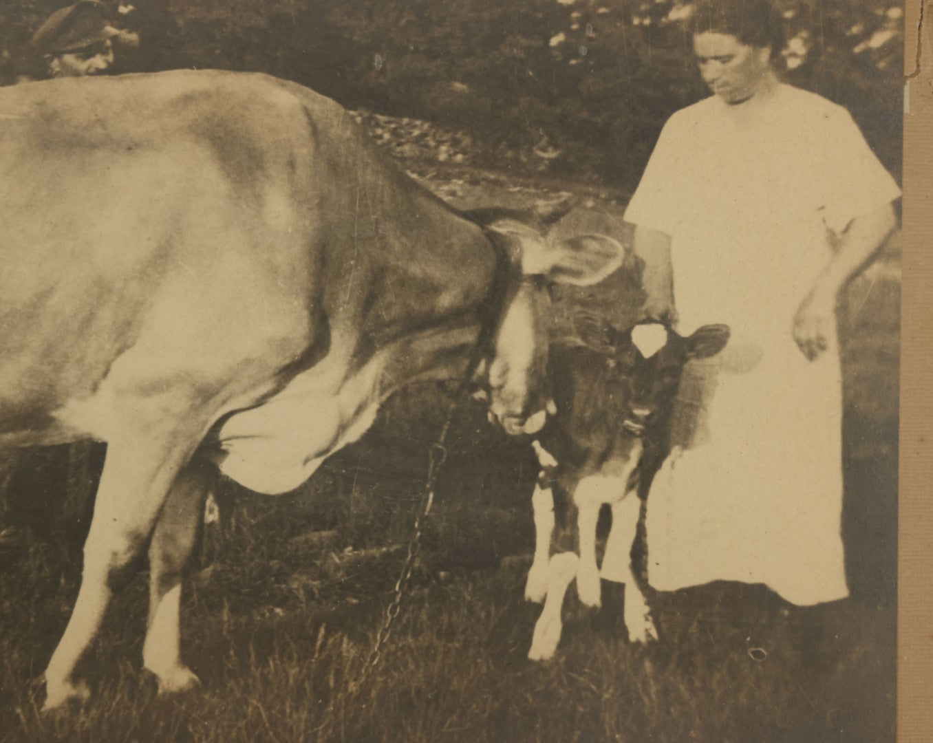 Lot 047 - Antique Framed Photograph Of A Woman With A Baby Cow Calf And Mother Cow, 16-3/4" x 10-3/4"