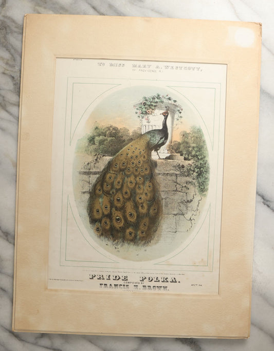 Lot 101 - Antique Sheet Music Cover With A Colorful Peacock Bird, Pride Polka, Composed By Francis M. Brown, Matted