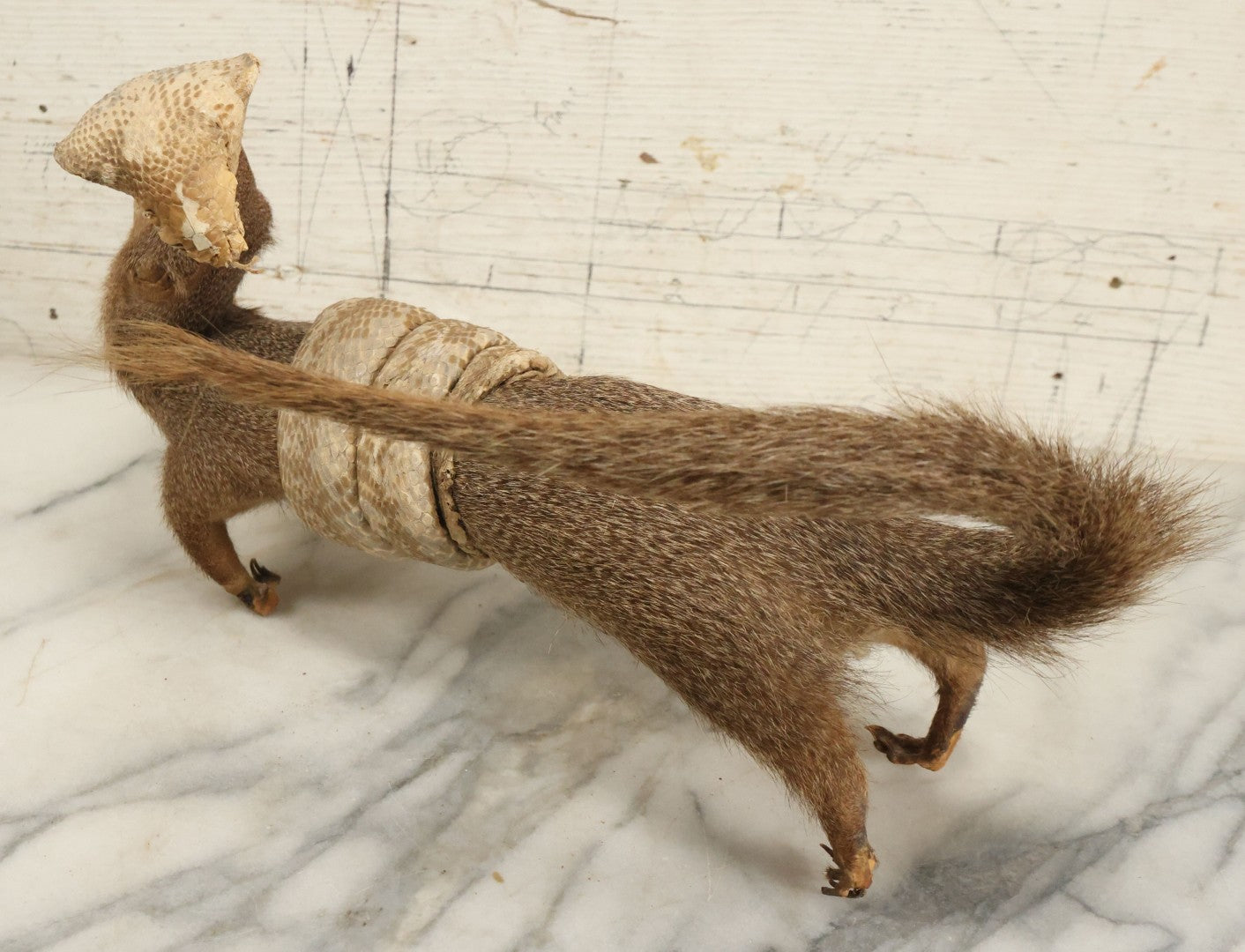 Lot 004 - Vintage Taxidermy Mongoose Fighting A Cobra Full Body Mount, Note Heavy Wear, Losses