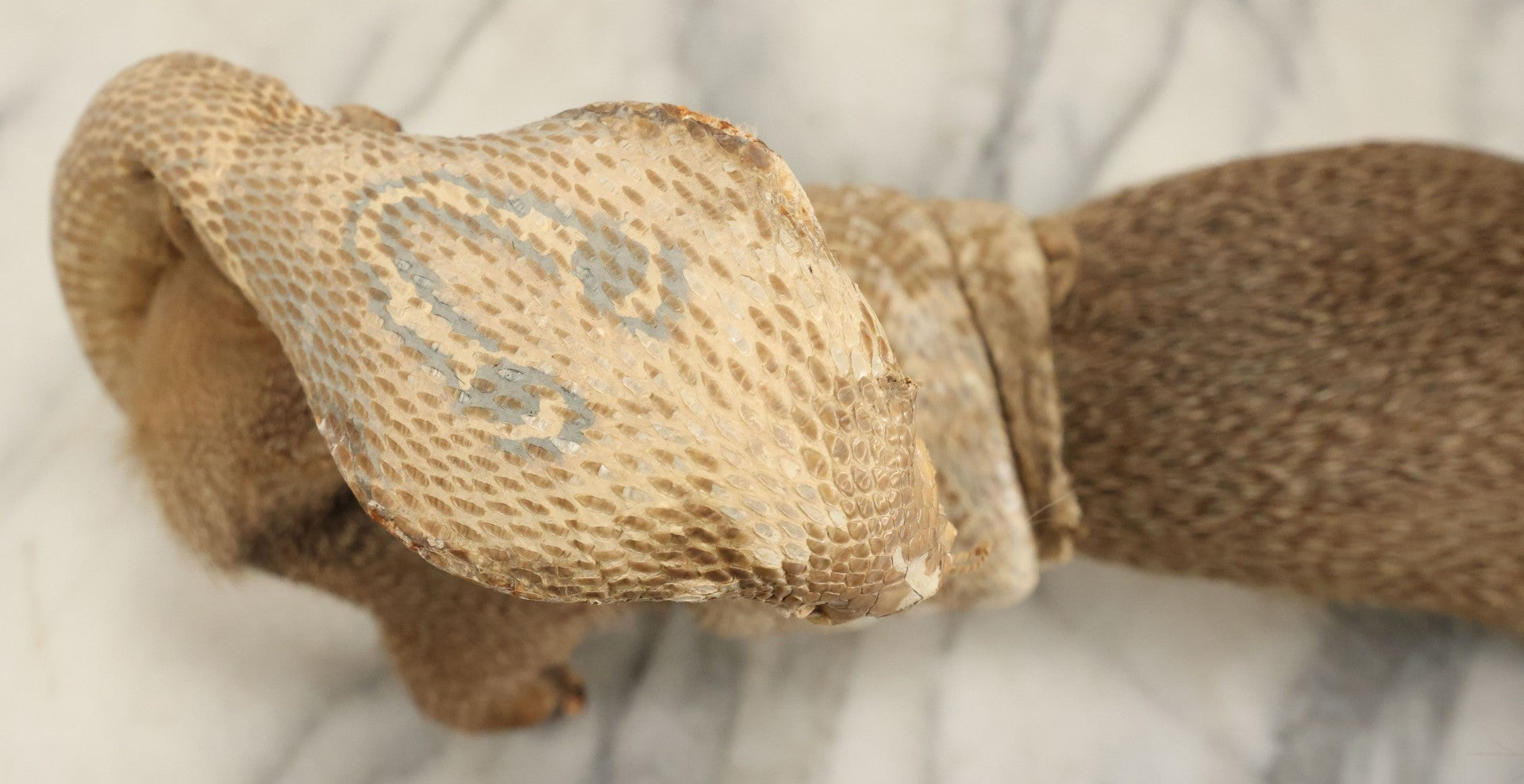 Lot 004 - Vintage Taxidermy Mongoose Fighting A Cobra Full Body Mount, Note Heavy Wear, Losses