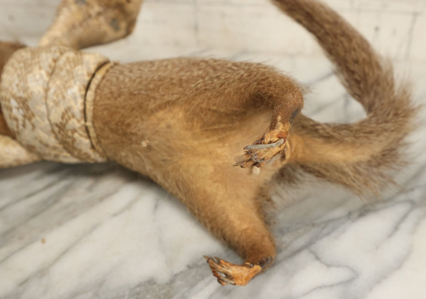 Lot 004 - Vintage Taxidermy Mongoose Fighting A Cobra Full Body Mount, Note Heavy Wear, Losses