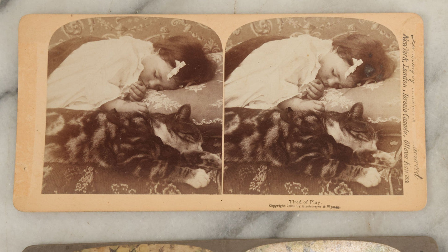 Lot 152 - Grouping Of Four Antique Stereo Cards Including Kitten Tired Of Play, Funeral Flowers, President Mckinley, Etc