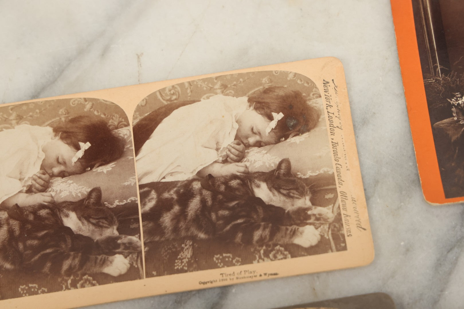 Lot 152 - Grouping Of Four Antique Stereo Cards Including Kitten Tired Of Play, Funeral Flowers, President Mckinley, Etc