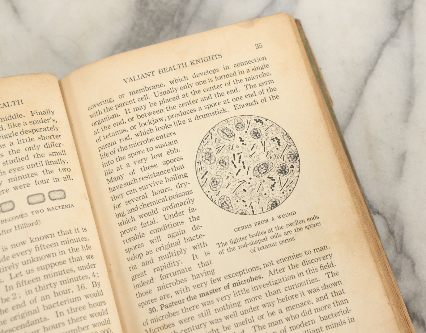 Lot 168 - Science And The Way To Health" Antique Book By J. Mace Andress And Maud A. Brown, Ginn And Company, Publishers, Boston, New York, Etc., 1929