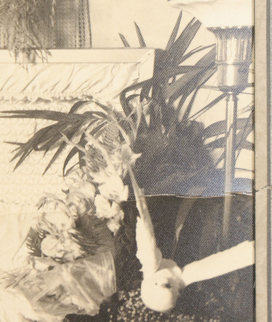 Lot 041 - Antique Boarded Photo Of A Man's Funeral, Professionally Framed