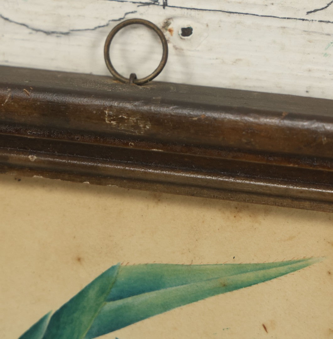 Lot 091 - Antique Watercolor Painted Fruit Basket Theorem With Grapes, Apples, And Pears, In Frame