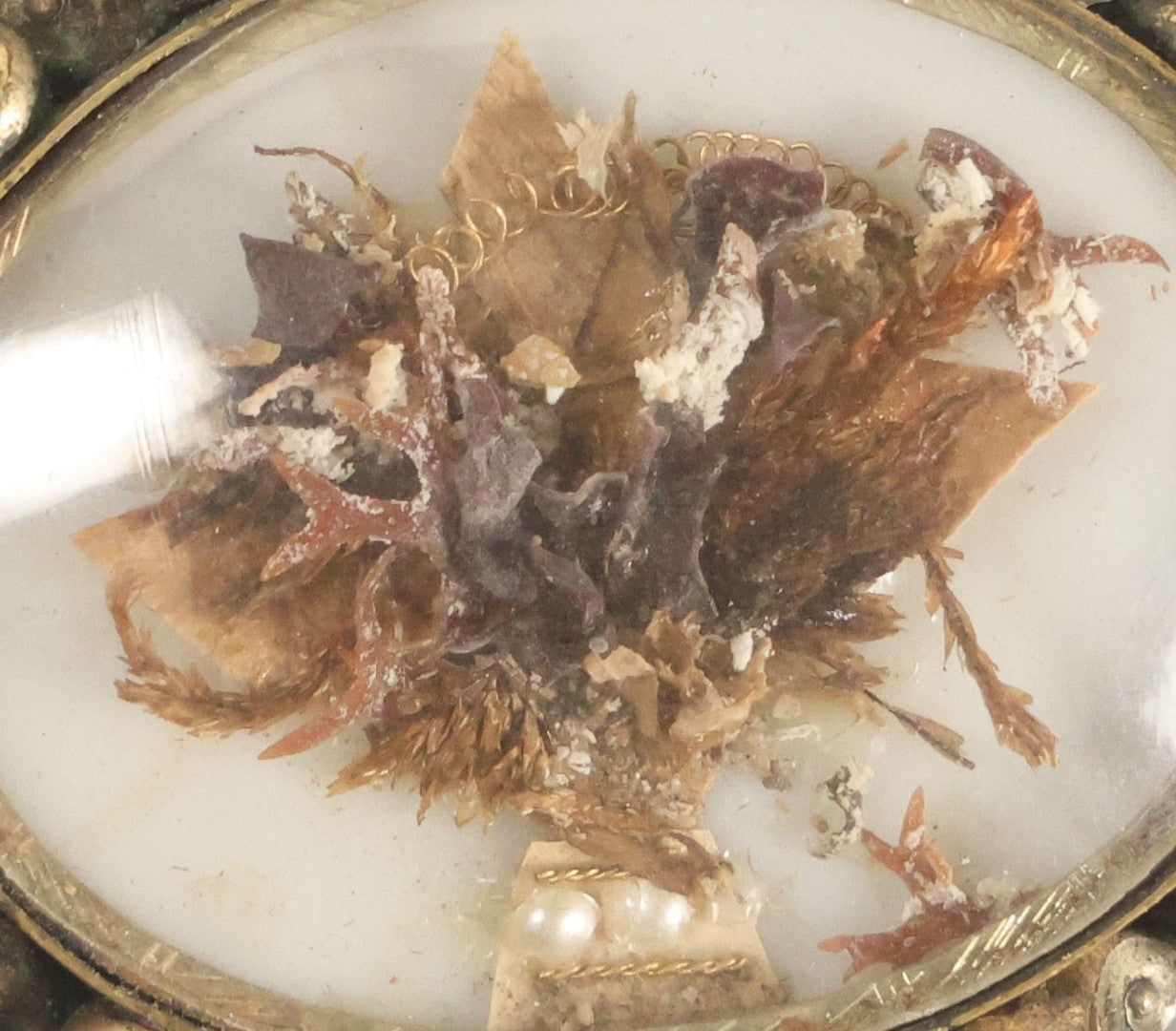 Lot 103 - Antique Victorian Seaweed Work Domed Glass Cabochon Brooch With Gold Toned Metal, Note Loose Bits Inside Dome