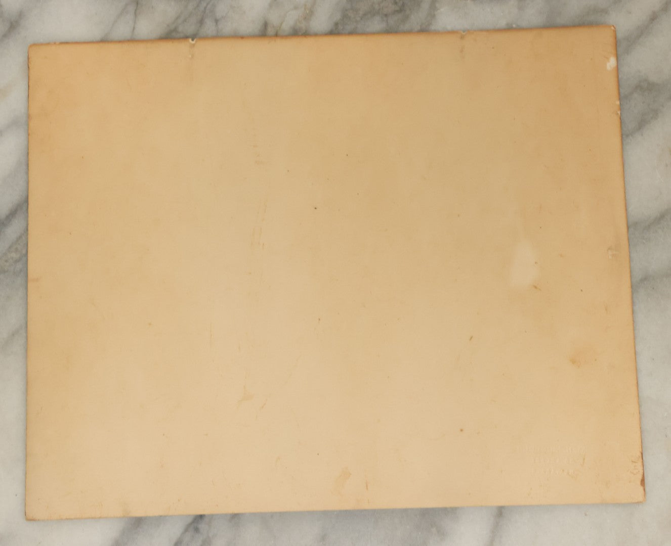 Lot 038 - Vintage Large Format Photograph Of Smiling Child Holding A Chicken At A Country Fair Beside An Oven