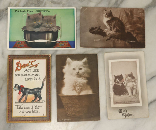 Lot 045 - Grouping Of Five Antique Postcards Of Cats And Kittens, Including Fold-Out South Sea Postcard