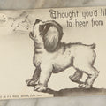 Lot 120 - Antique Comic Illustrated Postcard Of A Dog Howling At The Man In The Moon, "I Thought You'D Like To Hear From Me," Copyright 1909, F.A. Moss, Denver, Colorado, Postmarked 1910