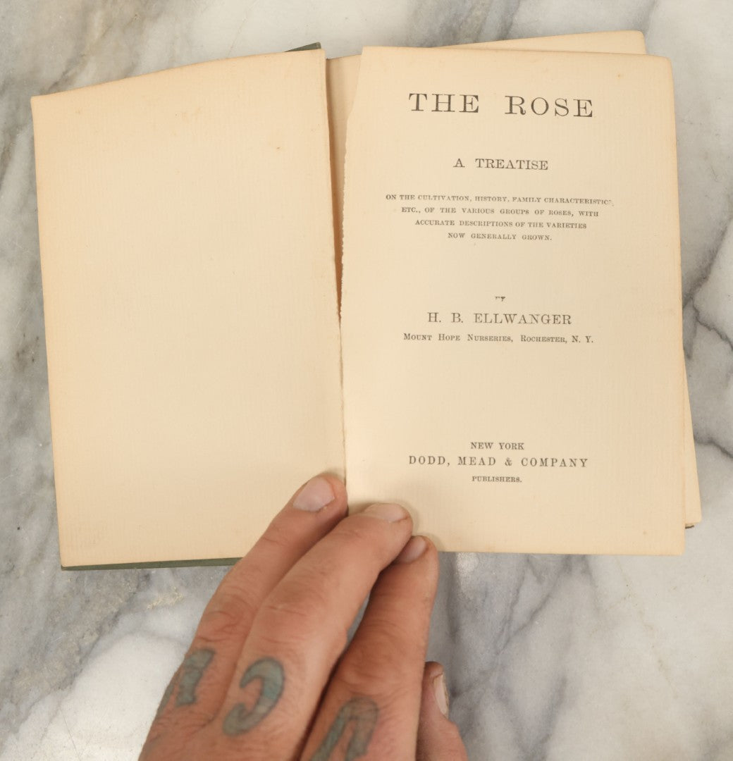 Lot 137 - "The Rose, A Treatise, On The Cultivation And Characteristics, Etc., Of Various Groups Of Roses" Antique Book By H.B. Ellwanger, Mount Hope Nurseries, Rochester, New York, Dodd, Mead, & Company, Publishers, 1882