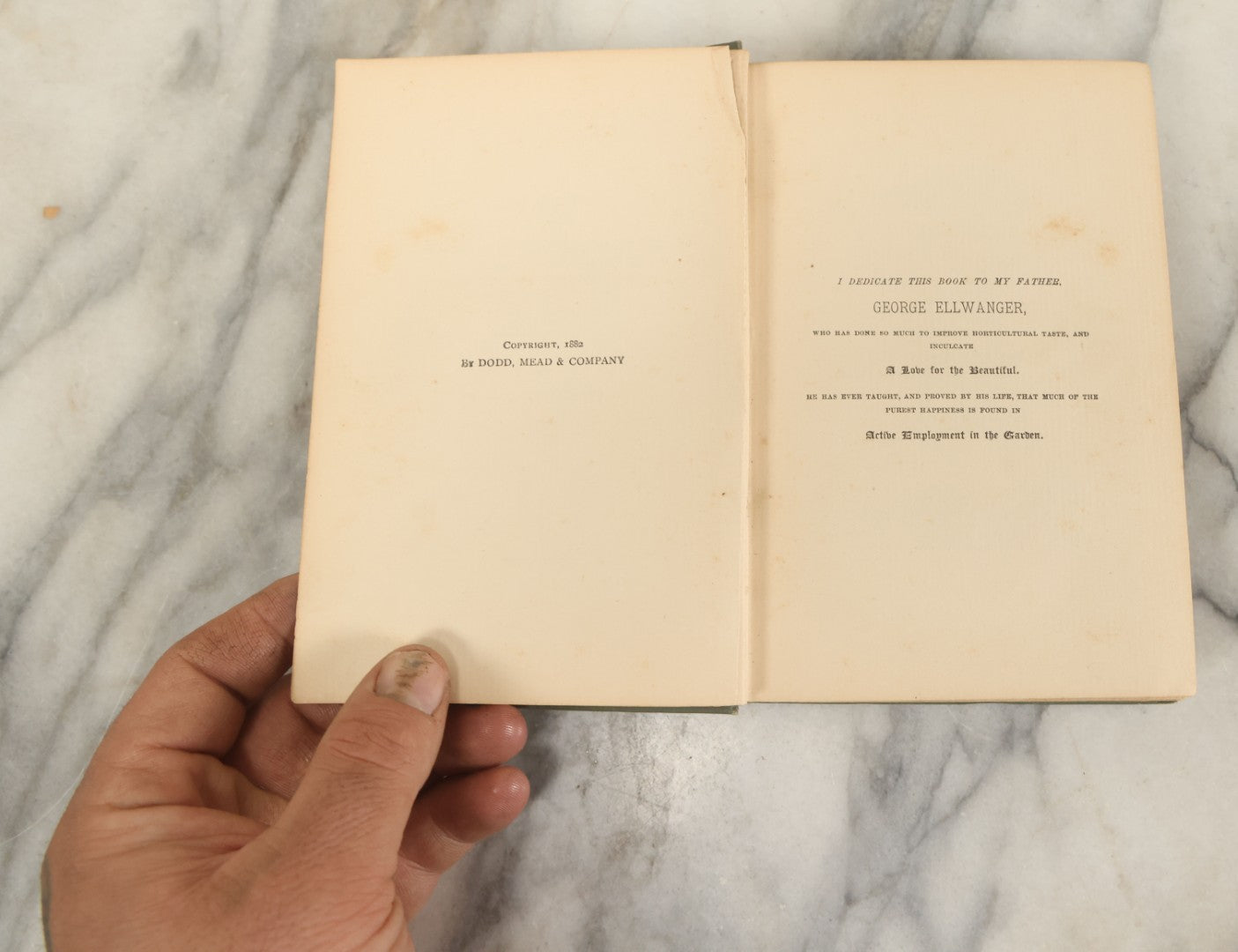 Lot 137 - "The Rose, A Treatise, On The Cultivation And Characteristics, Etc., Of Various Groups Of Roses" Antique Book By H.B. Ellwanger, Mount Hope Nurseries, Rochester, New York, Dodd, Mead, & Company, Publishers, 1882