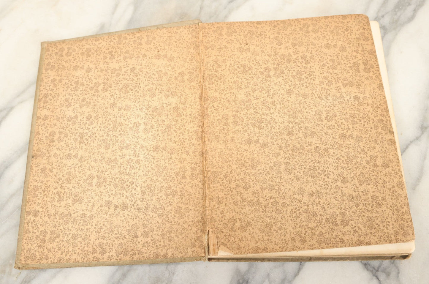 Lot 138 - "Jack And The Bean-Stalk And Others Stories" Antique Children's Book, Mcloughlin Brothers, Publishers, New York, 1903, Illustrated