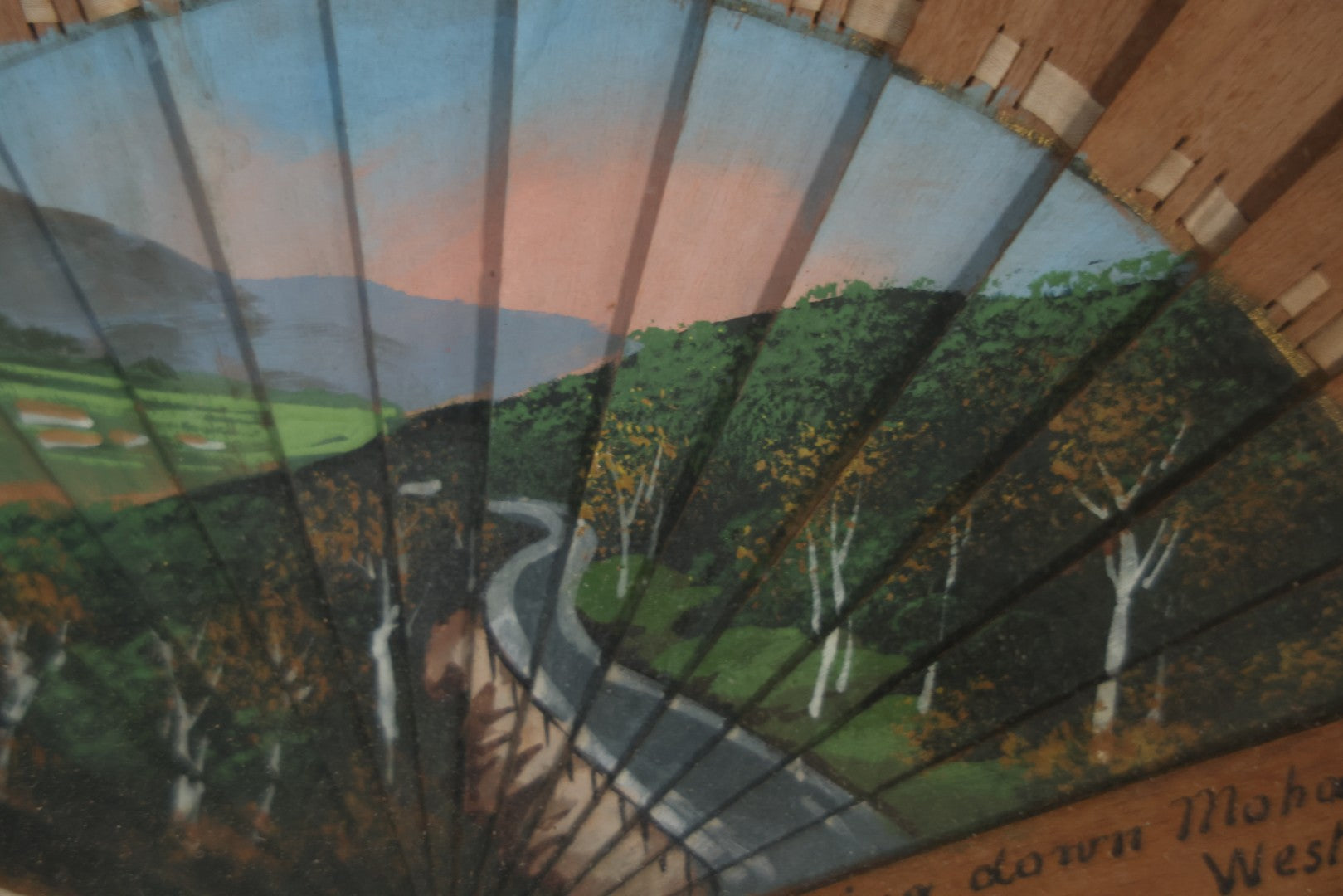 Antique Hand Painted Fan With A View Of The Mohawk Trail, Massachusetts, Looking Down From The Western Summit, In Vintage Shadow Box. 21" x 16-5/8"