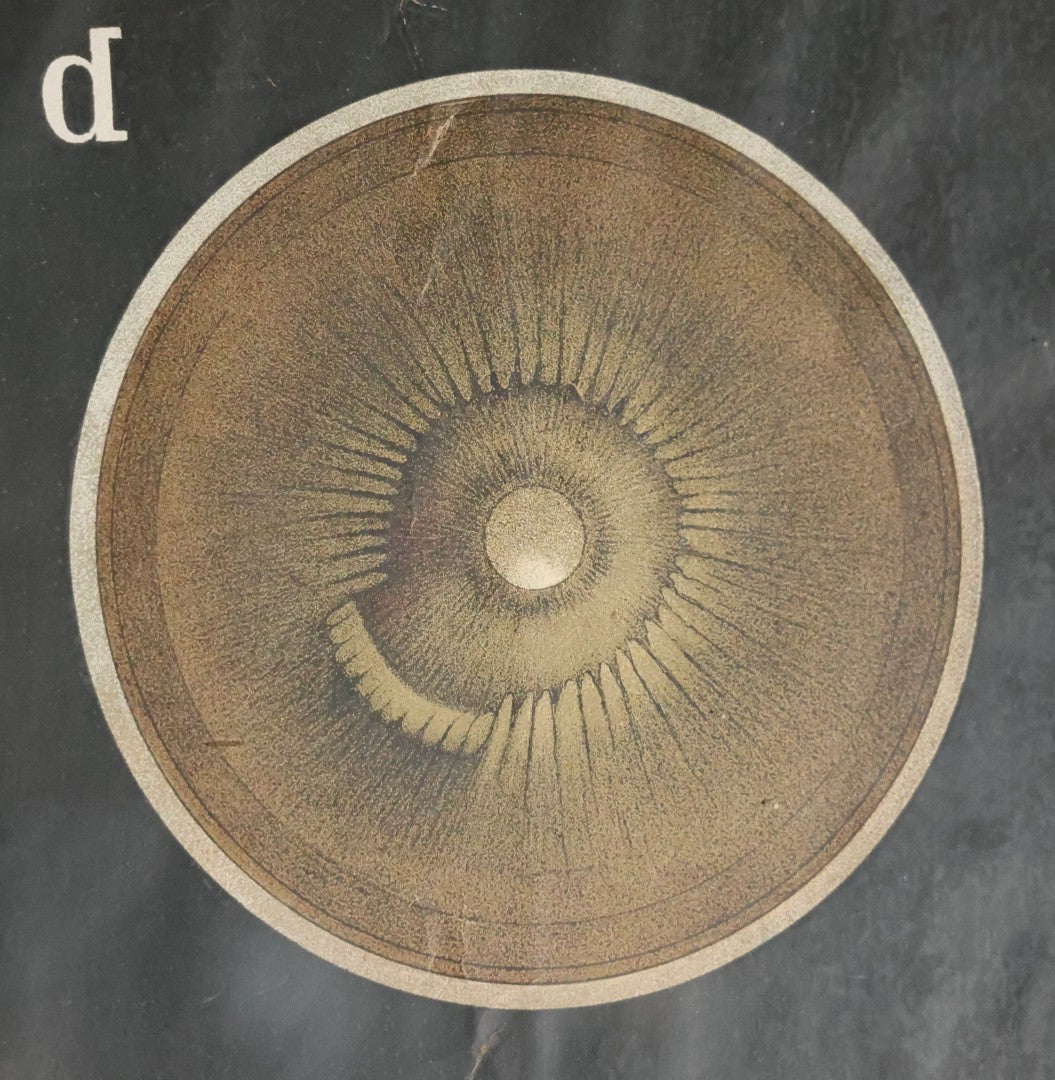 Antique Improved Gervais Chart Of The Eye No. 900 Anatomy Poster, Published By F.A. Hardy & Company, Chicago, In Frame. 29-3/8" x 37-3/8"