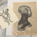Lot 119 - Pair Of Modern Novelty Oddities Including Conjoined Baby Tile And Block Print On Dictionary Paper