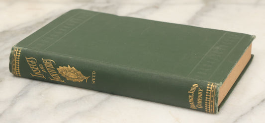 Lot 021 - "Insects And Insecticides: A Practical Manual Concerning Noxious Insects And The Methods Of Preventing Their Injuries" Antique Book By Clarence M. Weed, Illustrated, Second Revised Edition, Orange Judd Company, Publishers, New York, 1904