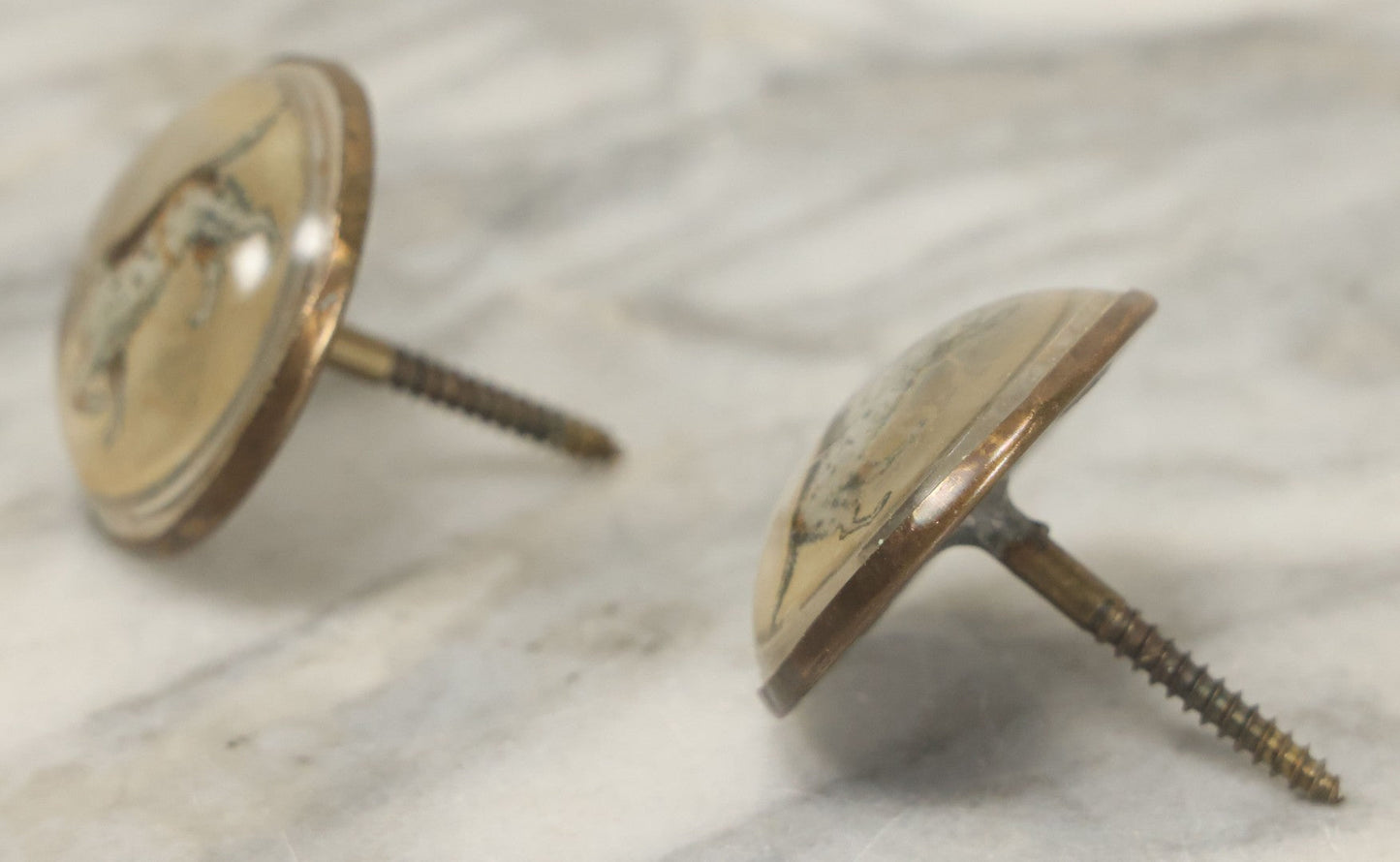 Lot 029 - Pair Of Antique Reverse Painted Glass Knobs With Hunting Dog Paintings, Screw Backs