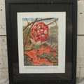 Lot 106 - Antique Book Plate Natural History Print, "The Lattice Fungus And Orange Elf-Cup" By Theo. Carreras, In Modern Frame, 11-7/8" x 15"