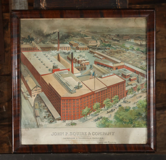 Antique Colored Lithograph Advertising Print Showing John P. Squire & Company Incorporated Hog Slaughterhouse, Cambridge & Somerville, Massachusetts, Capacity 6000 Hogs Per Day, In Frame, 24-1/2" x 24-1/2"