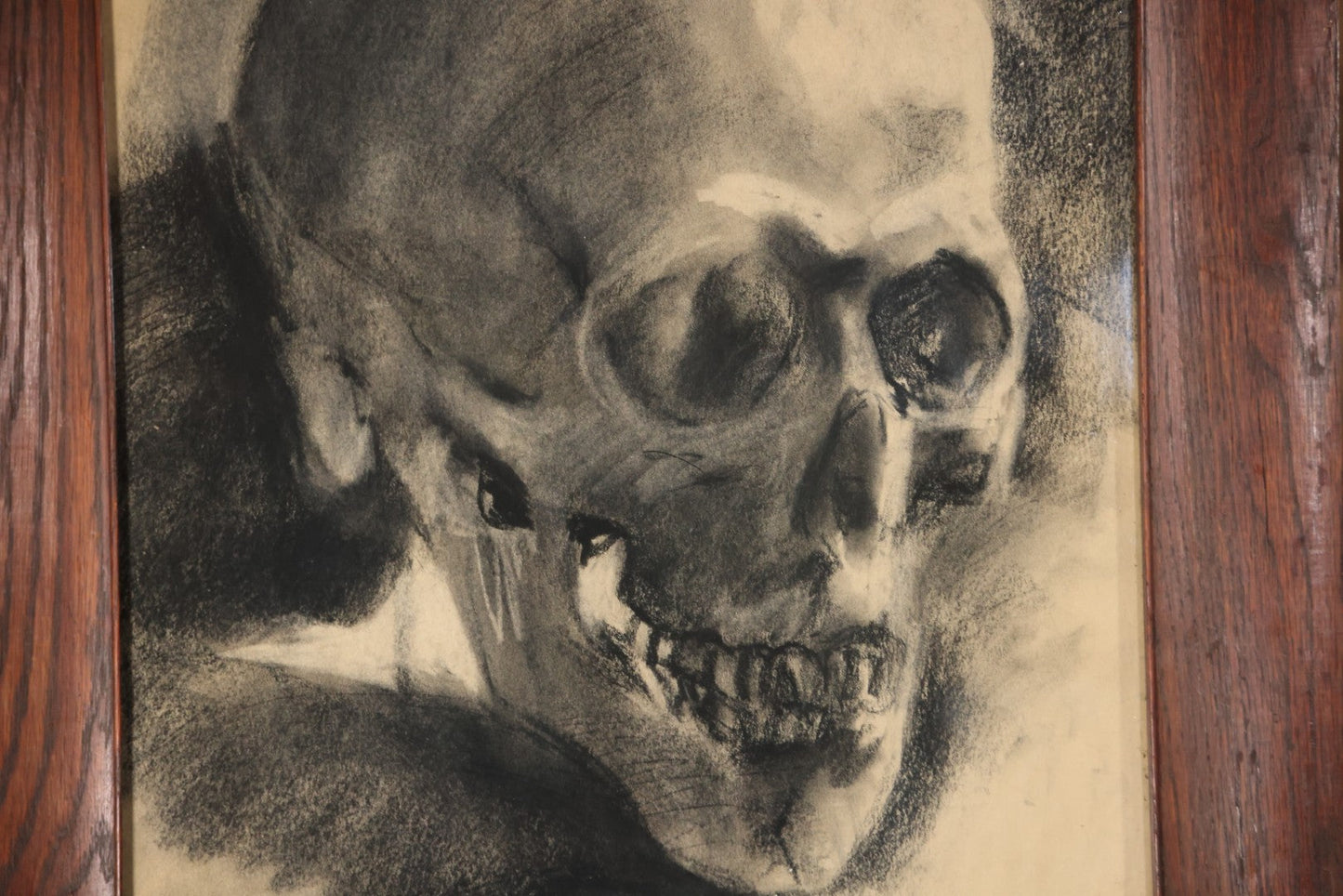 Vintage Charcoal Drawing Still Life Human Skull Study On Paper In Solid Wood Frame, 21-5/8" x 25-5/8"