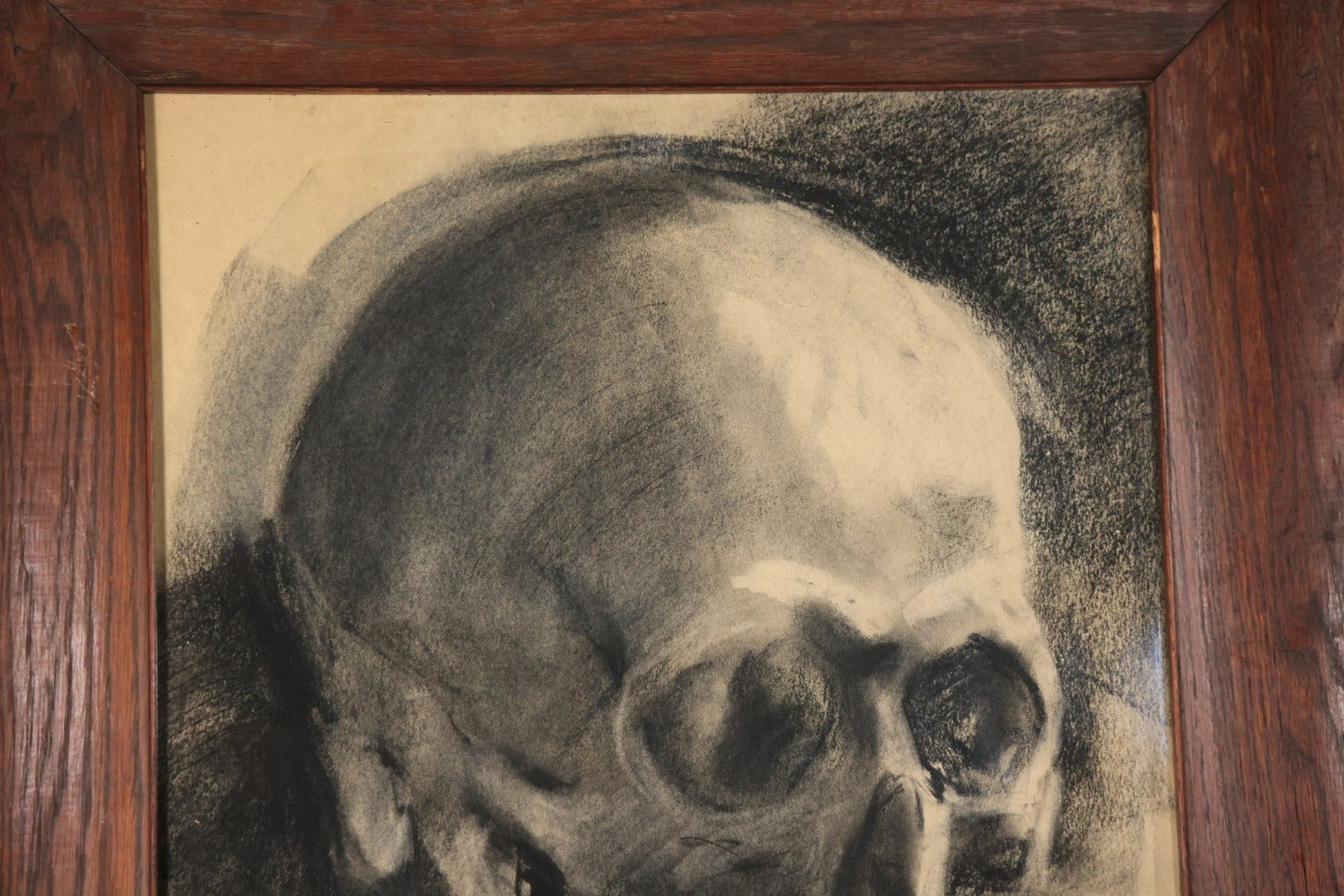 Vintage Charcoal Drawing Still Life Human Skull Study On Paper In Solid Wood Frame, 21-5/8" x 25-5/8"