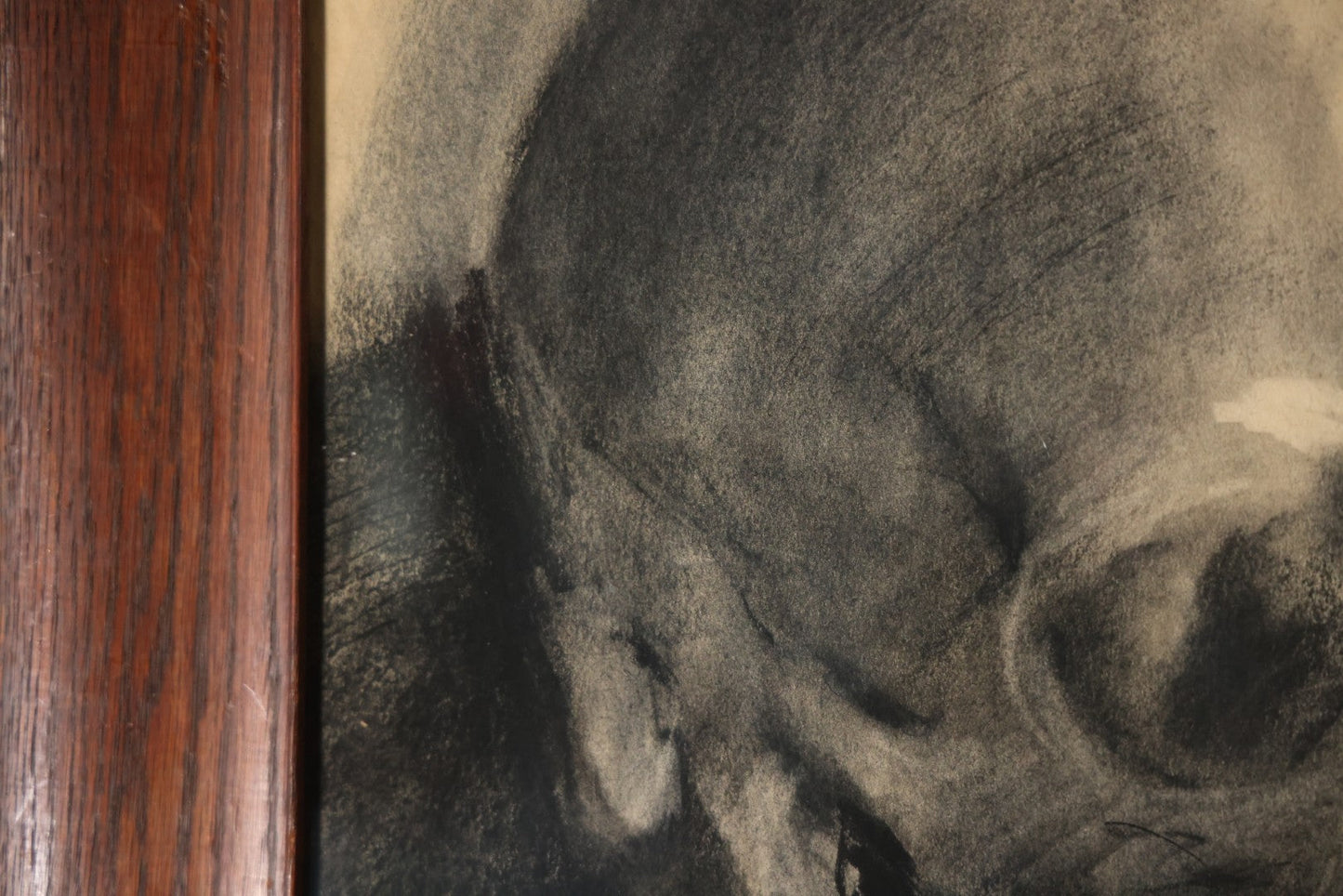 Vintage Charcoal Drawing Still Life Human Skull Study On Paper In Solid Wood Frame, 21-5/8" x 25-5/8"