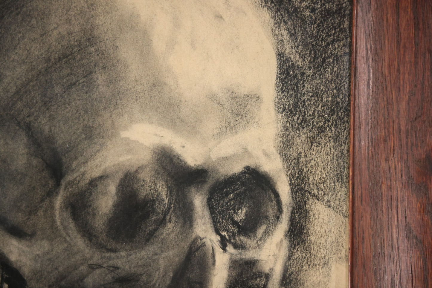 Vintage Charcoal Drawing Still Life Human Skull Study On Paper In Solid Wood Frame, 21-5/8" x 25-5/8"