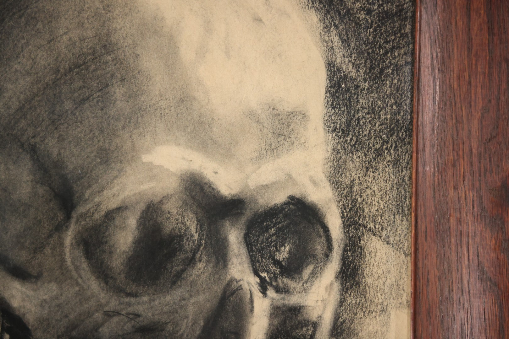 Vintage Charcoal Drawing Still Life Human Skull Study On Paper In Solid Wood Frame, 21-5/8" x 25-5/8"