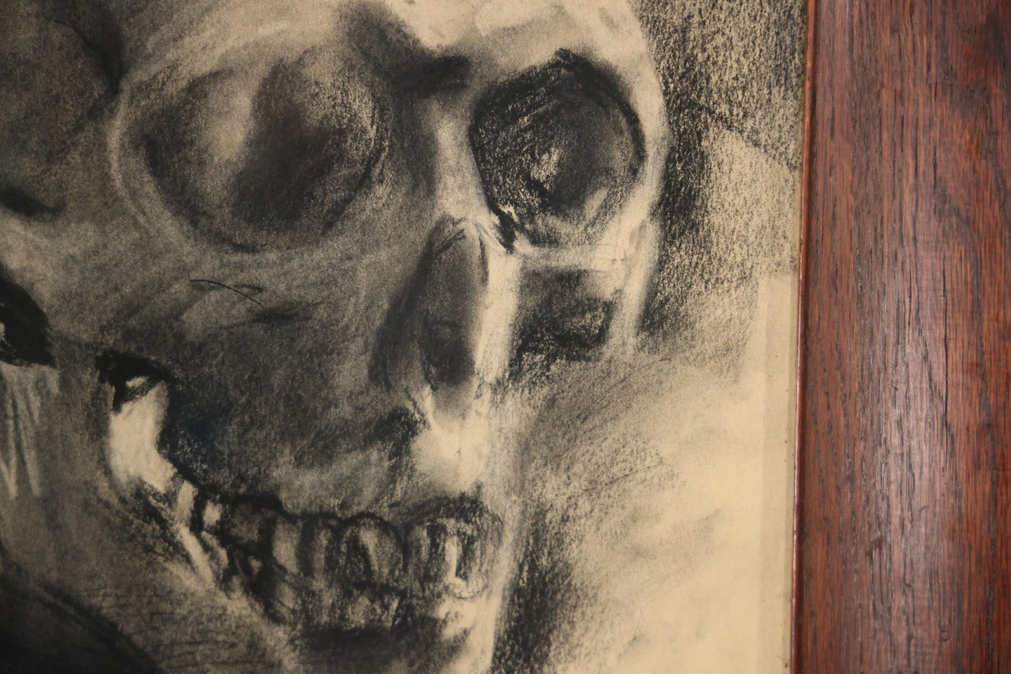 Vintage Charcoal Drawing Still Life Human Skull Study On Paper In Solid Wood Frame, 21-5/8" x 25-5/8"