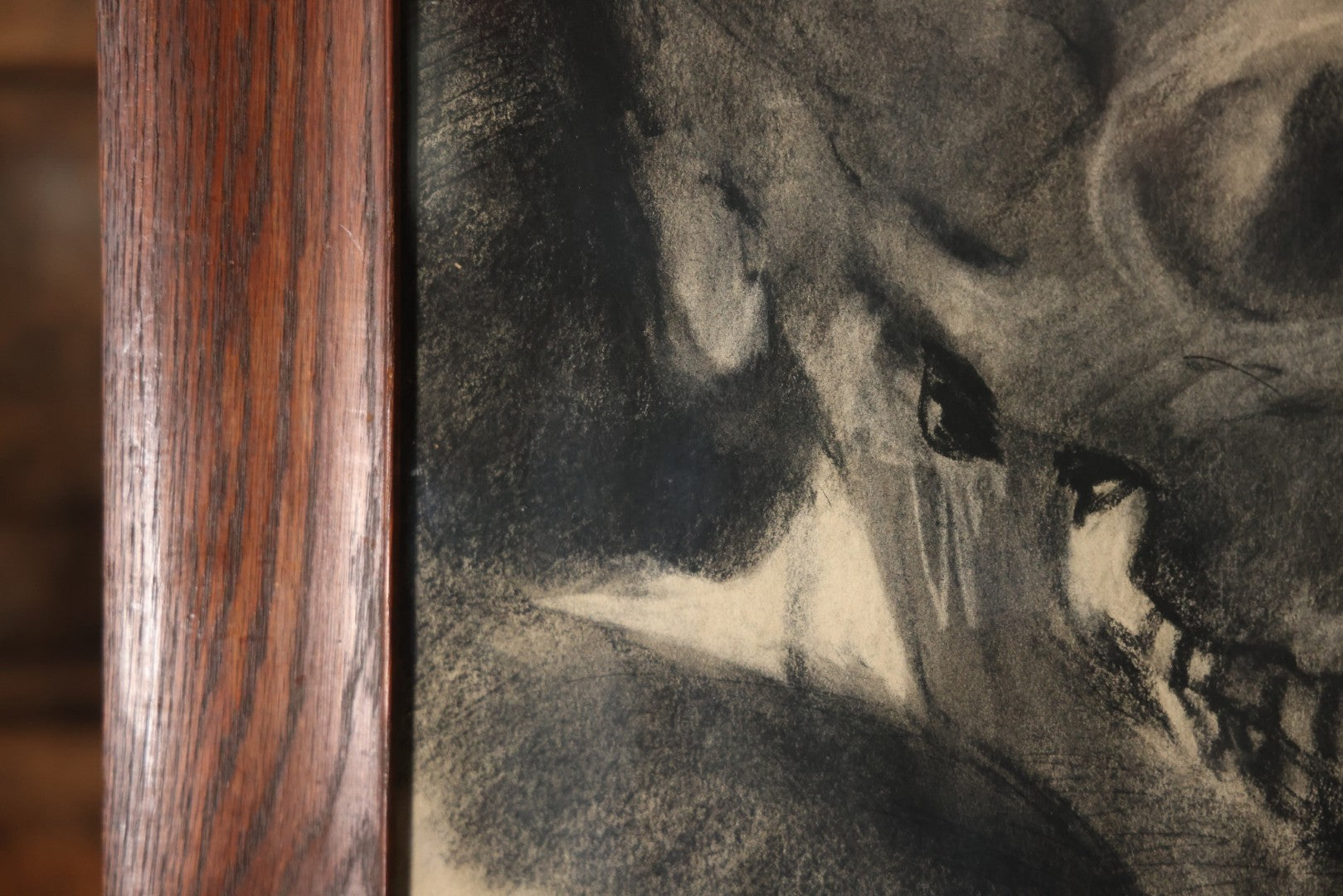 Vintage Charcoal Drawing Still Life Human Skull Study On Paper In Solid Wood Frame, 21-5/8" x 25-5/8"