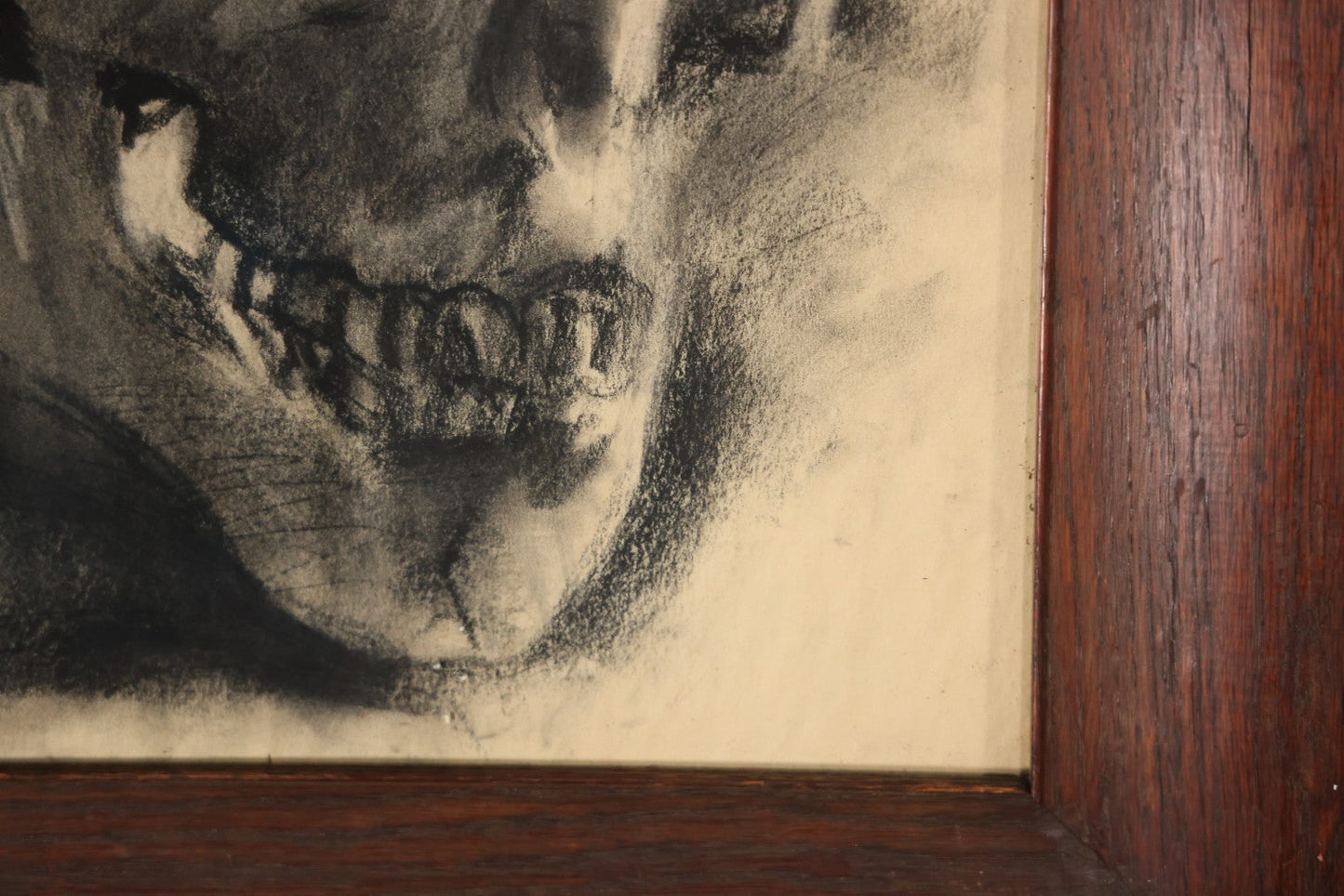 Vintage Charcoal Drawing Still Life Human Skull Study On Paper In Solid Wood Frame, 21-5/8" x 25-5/8"