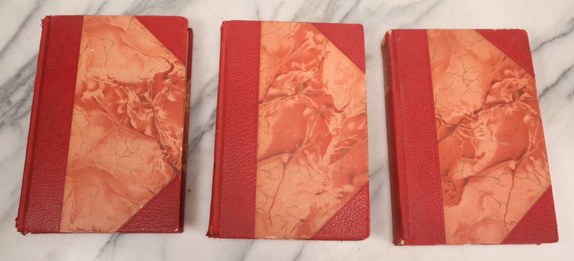 Lot 011 - Antique Ten Volume Book Set, The Complete Works Of Edgar Allan Poe, Illustrated, Copyright 1908, By The Werner Company, Akron, Ohio, Library Edition