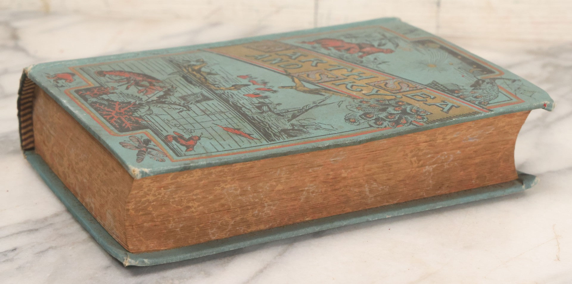 Lot 012 - "Earth, Sea, And Sky; Or The Marvels Of The Universe" Antique Natural History Book By Henry Davenport Northrop, With Over 300 Fine Engravings, L.P. Miller & Co., Publishers, Chicago & Philadelphia, 1887